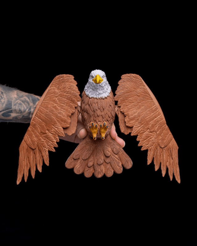 Aquila, le gestionnaire de garde-robe
