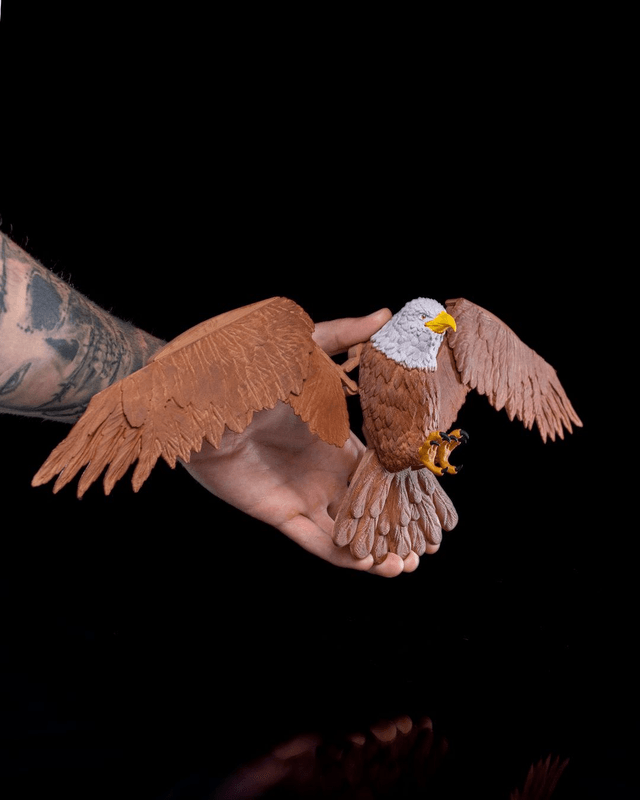 Aquila, le gestionnaire de garde-robe