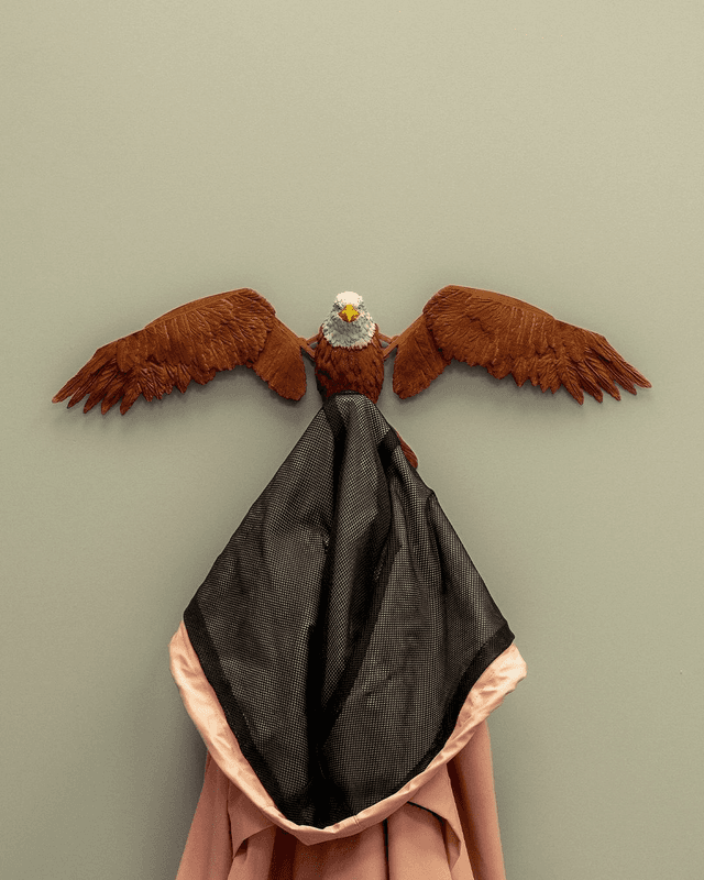 Aquila, le gestionnaire de garde-robe